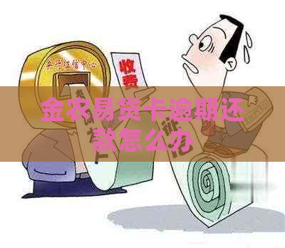 金农易贷卡逾期还款怎么办