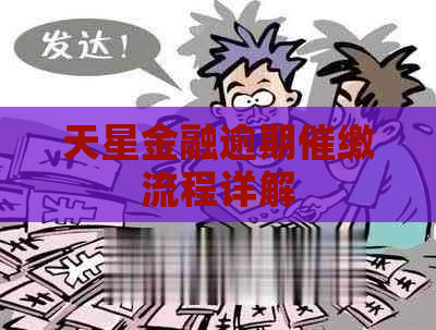 天星金融逾期催缴流程详解