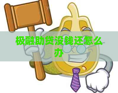 极融助贷没钱还怎么办