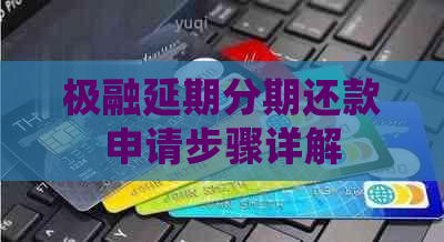 极融延期分期还款申请步骤详解