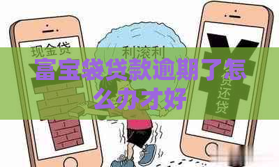 富宝袋贷款逾期了怎么办才好