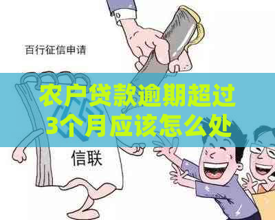 农户贷款逾期超过3个月应该怎么处理