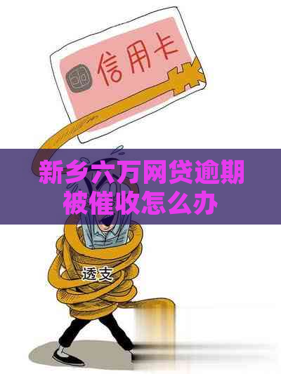 新乡六万网贷逾期被怎么办