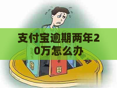 支付宝逾期两年20万怎么办