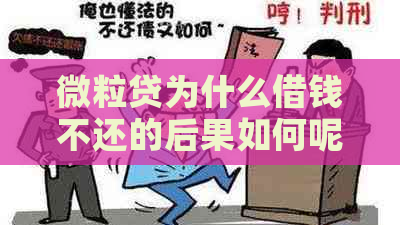 微粒贷为什么借钱不还的后果如何呢