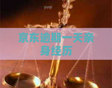 京东逾期一天亲身经历