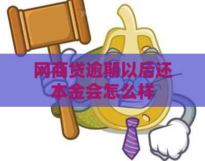 网商贷逾期以后还本金会怎么样