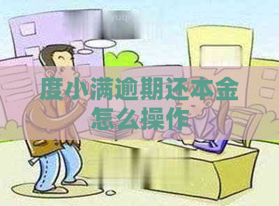 度小满逾期还本金怎么操作