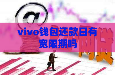 vivo钱包还款日有宽限期吗