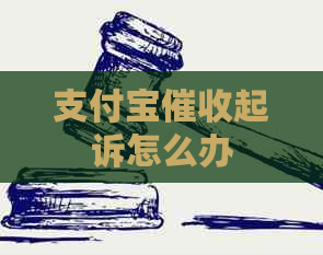 支付宝起诉怎么办