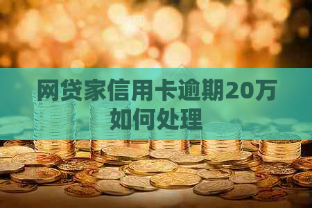 网贷家信用卡逾期20万如何处理