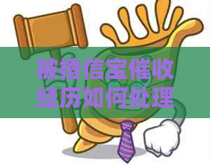 被橙信宝经历如何处理