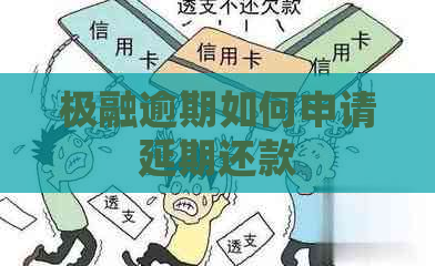 极融逾期如何申请延期还款