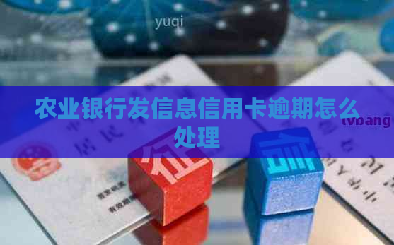 农业银行发信息信用卡逾期怎么处理