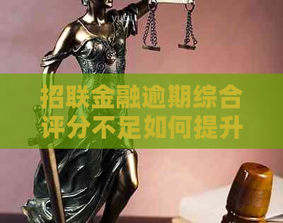 招联金融逾期综合评分不足如何提升