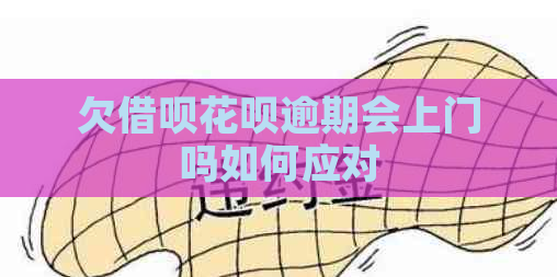 欠借呗花呗逾期会上门吗如何应对