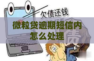 微粒贷逾期短信内怎么处理