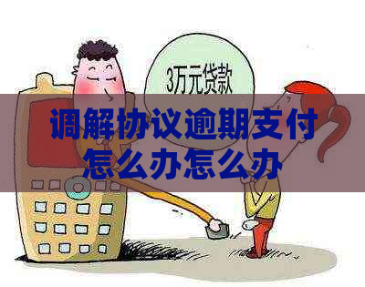 调解协议逾期支付怎么办怎么办