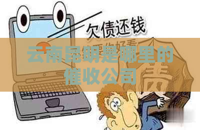 云南昆明是哪里的公司