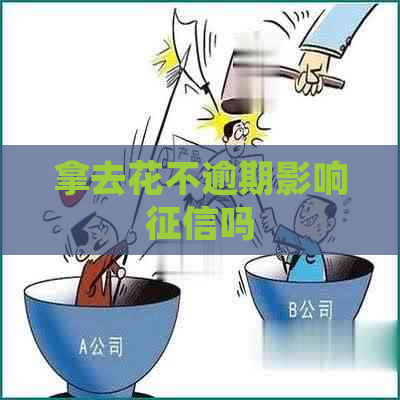 拿去花不逾期影响吗