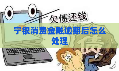 宁银消费金融逾期后怎么处理