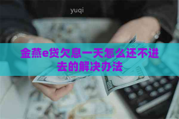 金燕e贷欠息一天怎么还不进去的解决办法