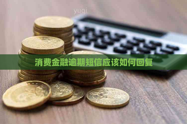 消费金融逾期短信应该如何回复