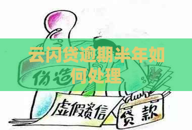 云闪贷逾期半年如何处理