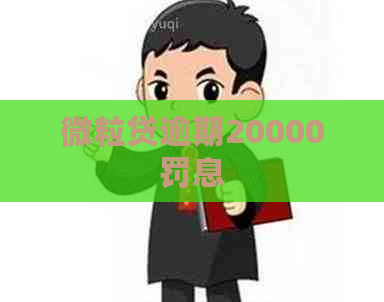 微粒贷逾期20000罚息