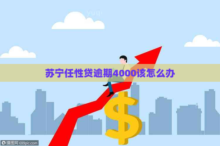 苏宁任性贷逾期4000该怎么办