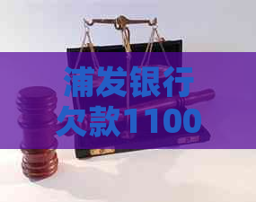 浦发银行欠款11000元怎么办