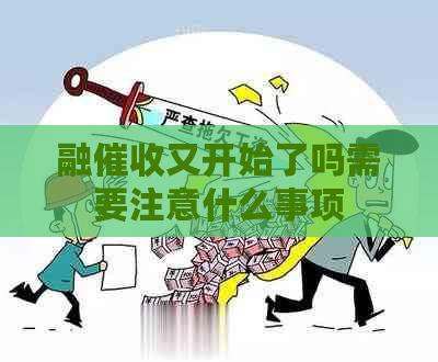 融又开始了吗需要注意什么事项