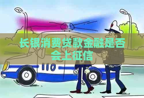 长银消费贷款金融是否会上