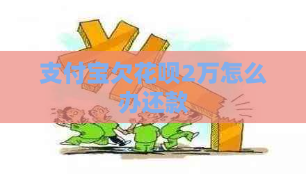 支付宝欠花呗2万怎么办还款