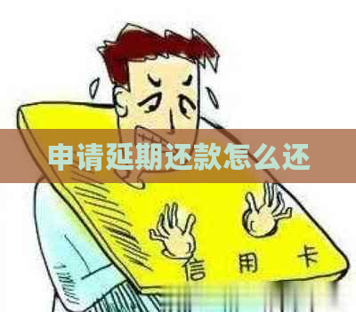 申请延期还款怎么还