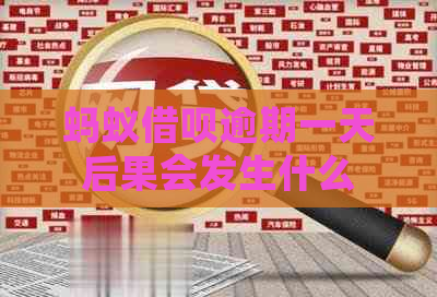 蚂蚁借呗逾期一天后果会发生什么