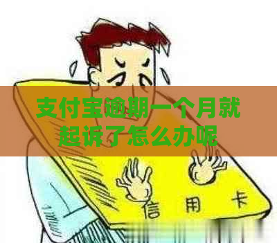 支付宝逾期一个月就起诉了怎么办呢