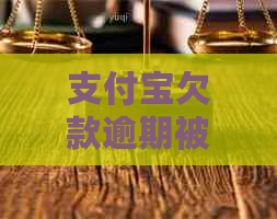 支付宝欠款逾期被立案怎么解决