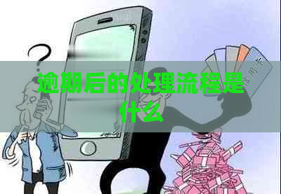 逾期后的处理流程是什么