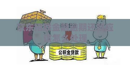 京东招联金融逾期还款应该怎么处理