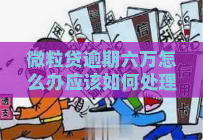 微粒贷逾期六万怎么办应该如何处理