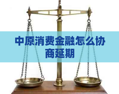 中原消费金融怎么协商延期