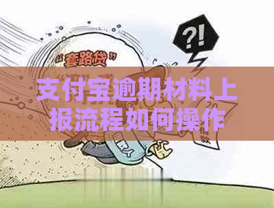 支付宝逾期材料上报流程如何操作