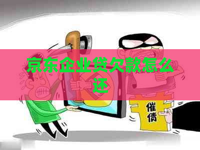 京东企业贷欠款怎么还