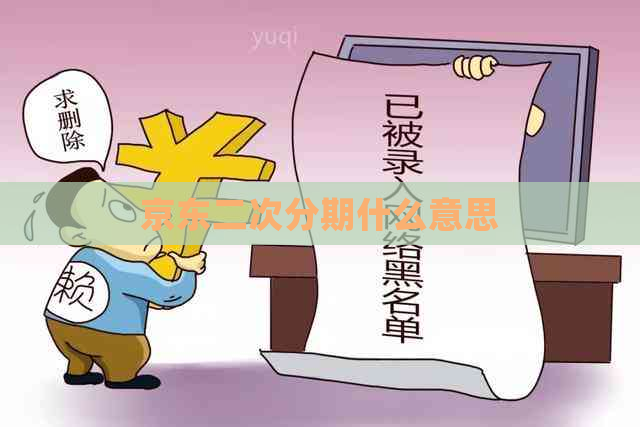 京东二次分期什么意思