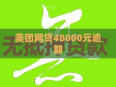 美团网贷48000元逾期