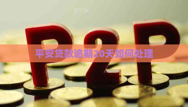 平安贷款逾期20天如何处理