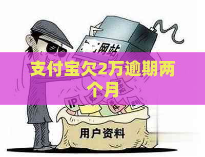 支付宝欠2万逾期两个月