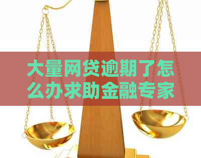 大量网贷逾期了怎么办求助金融专家