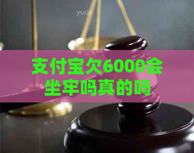 支付宝欠6000会坐牢吗真的吗